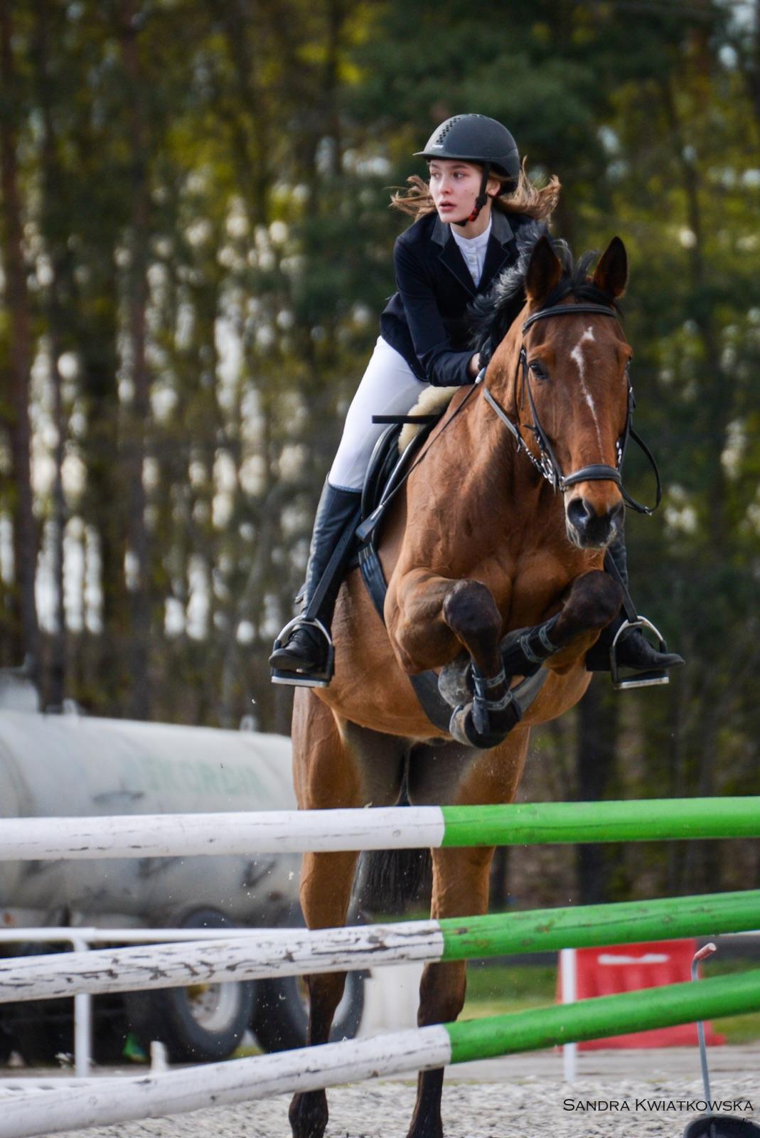 Cornerstone on the Vermillion Cornerstone Horse Complex