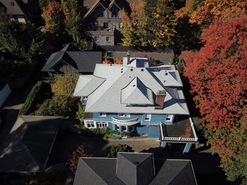 Certainteed Silver Birch Shingles