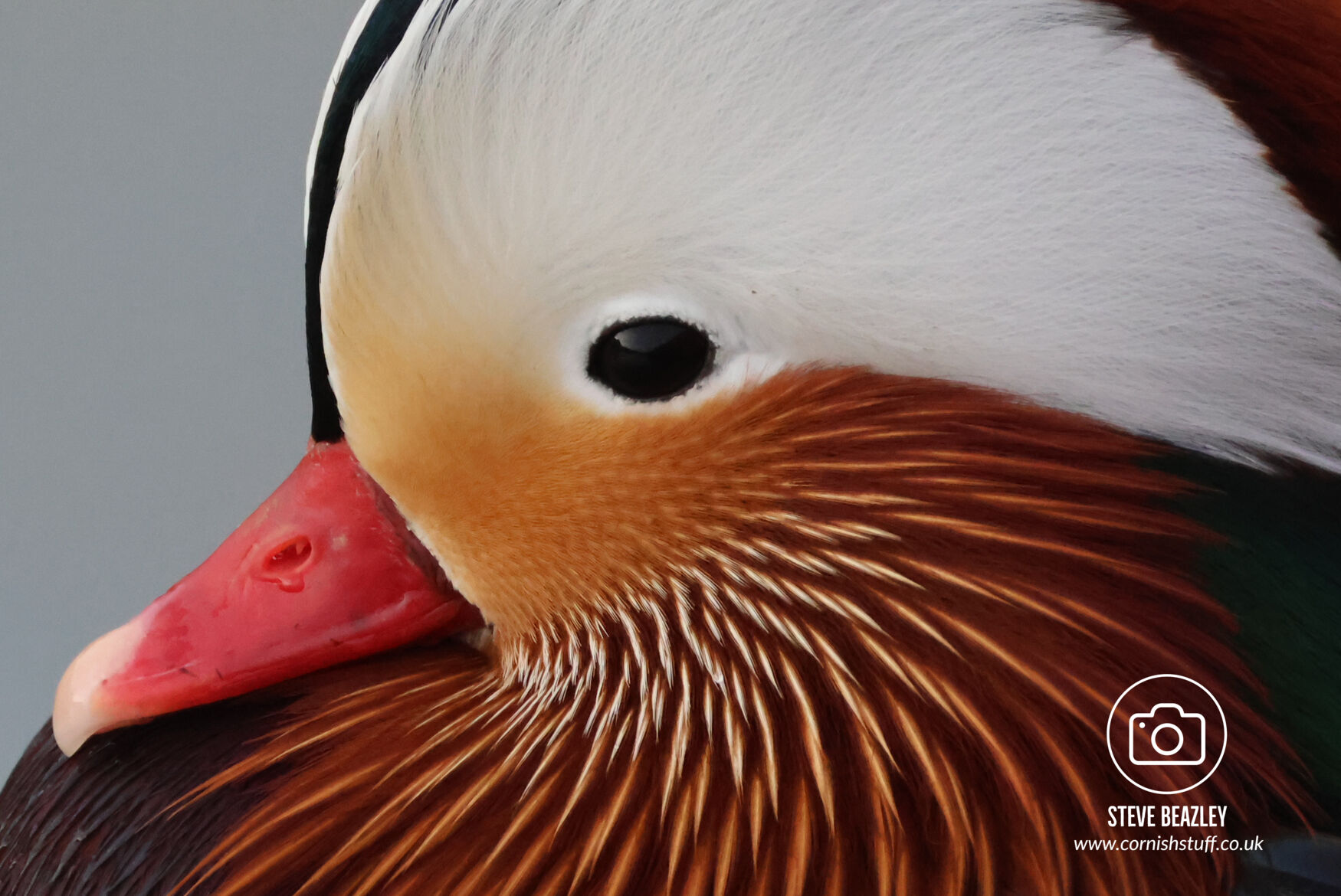 27th January 2024 Bude Marshes CornishStuff
