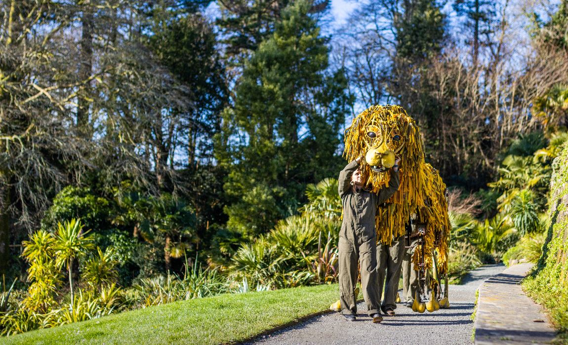 Dandy Lion — Cornwall 365 What's On