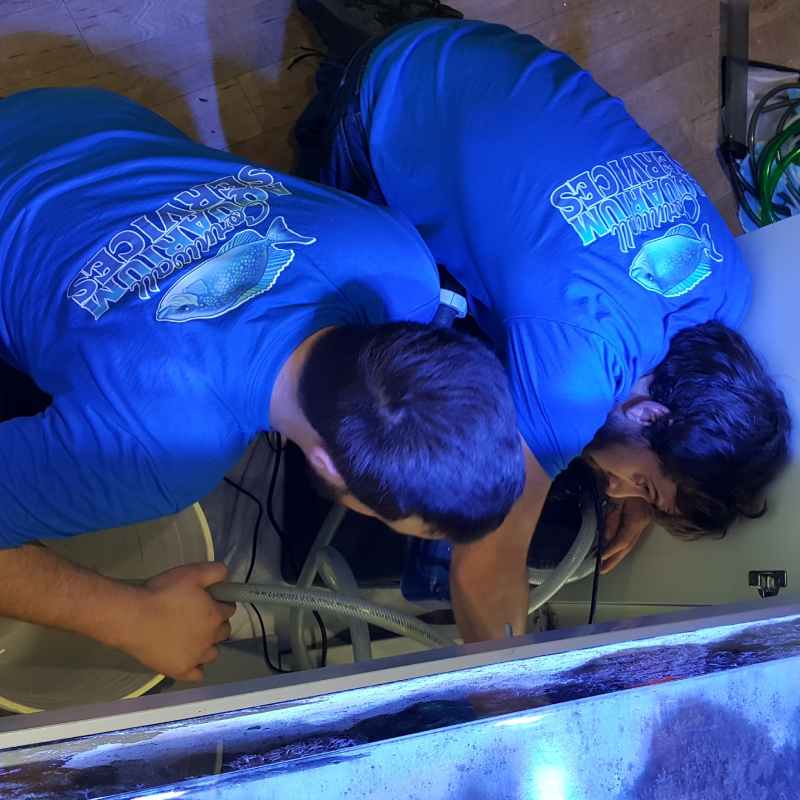 Services Cornwall Aquatics & Aquarium Services