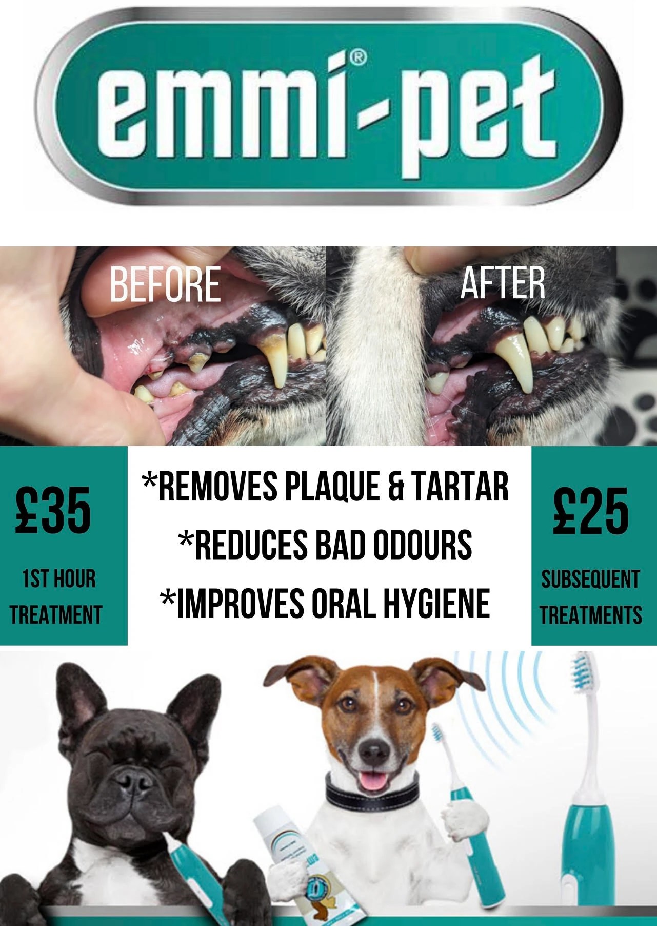 Cornwall Canine Centre Raw Dog Food Cornwall