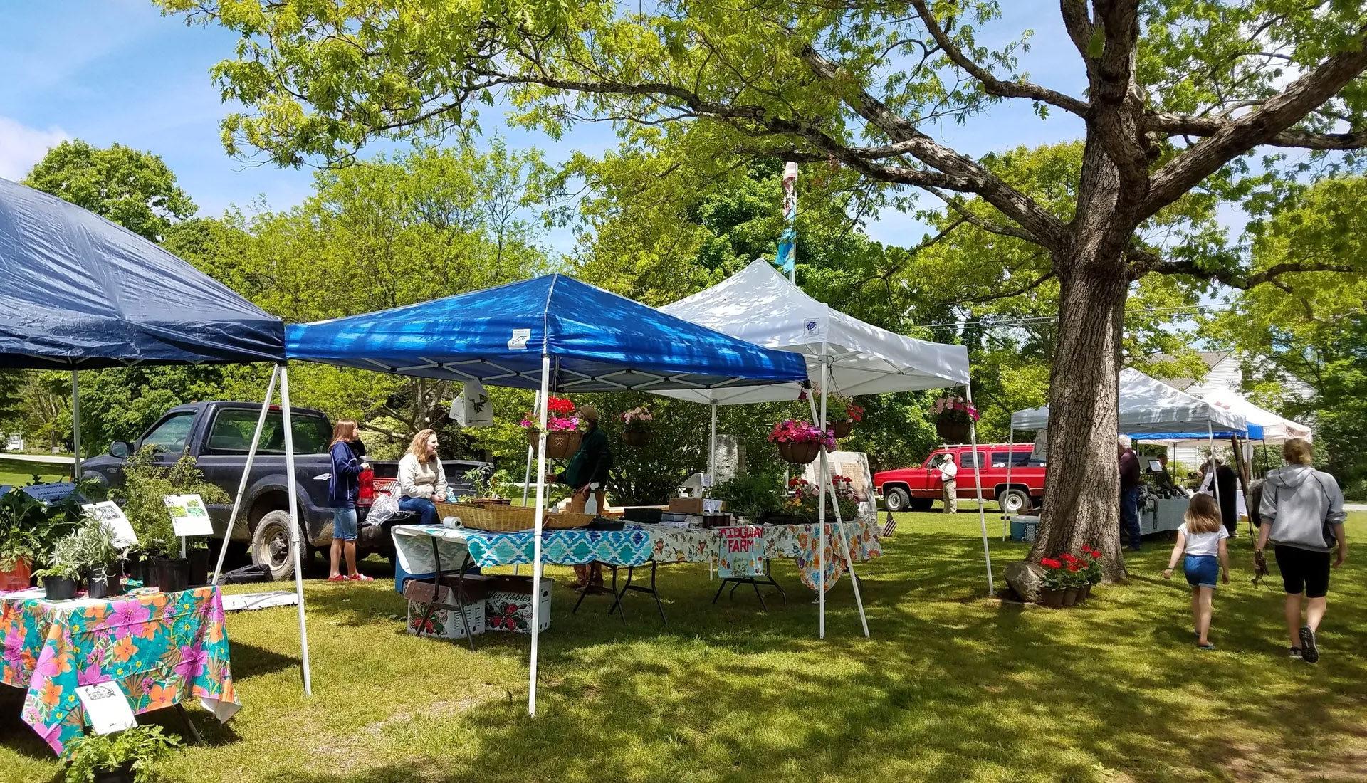 Farmers Markets Cornwall CT