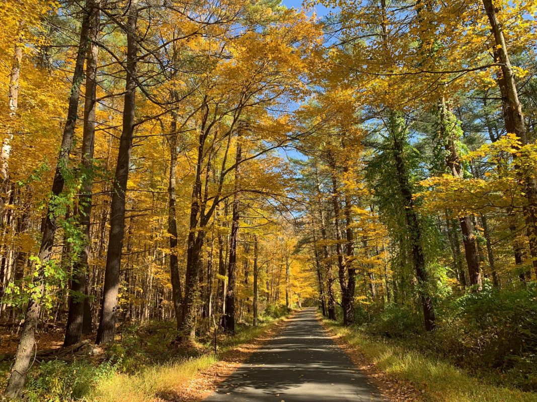 Planning & Zoning Cornwall CT