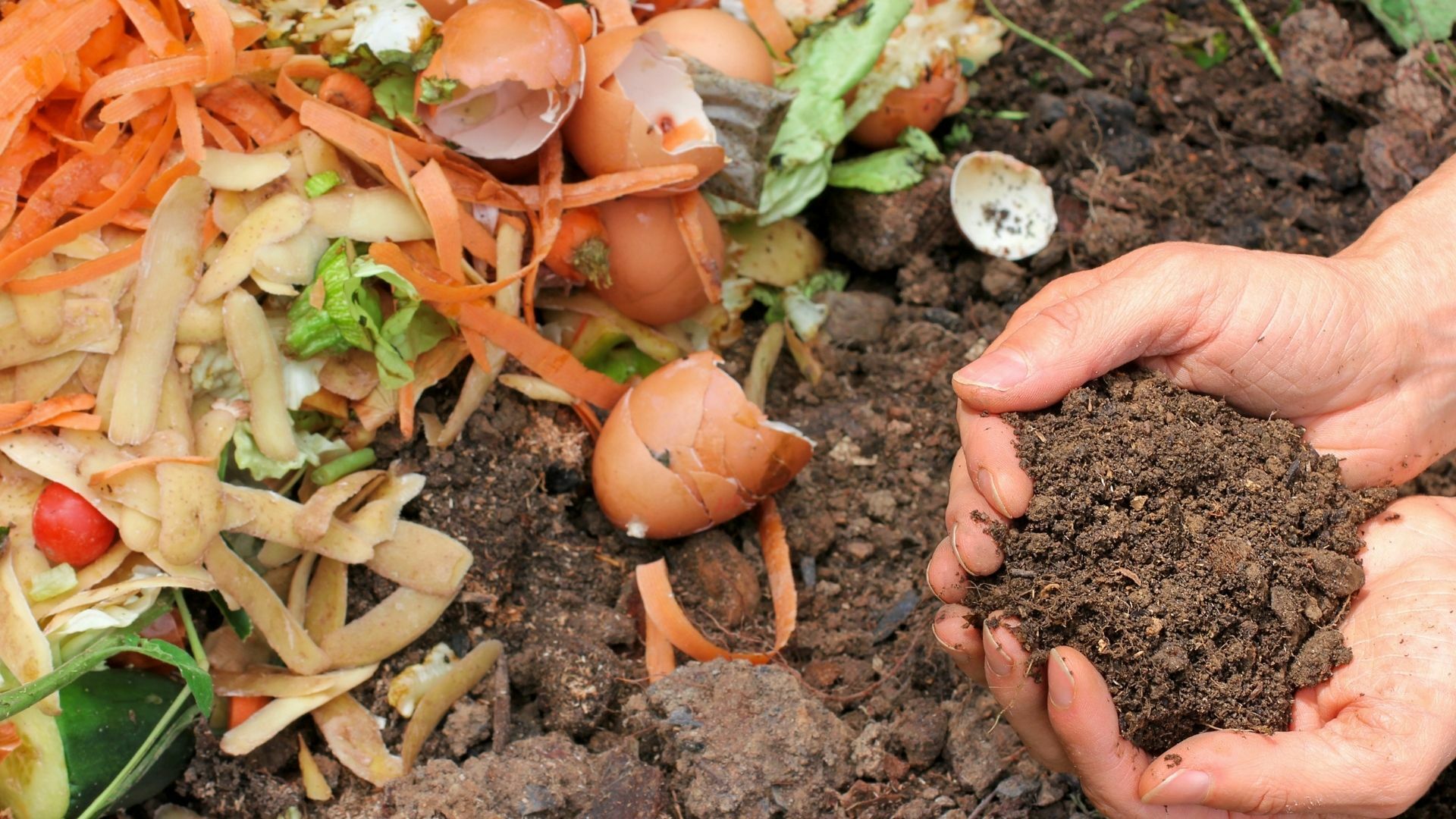 Cornwall Park Composting With Us What's On Cornwall Park