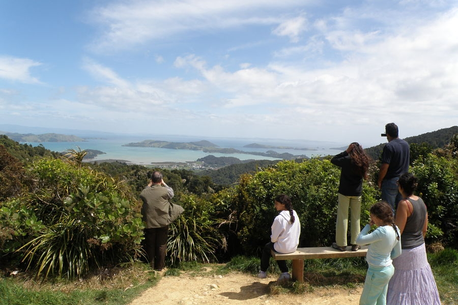 Tour M205 to Coromandel Town with Driving Creek Railway