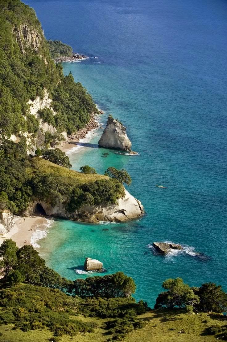 Top 5 Most Amazing Photos of Coromandel Peninsula Coromandel