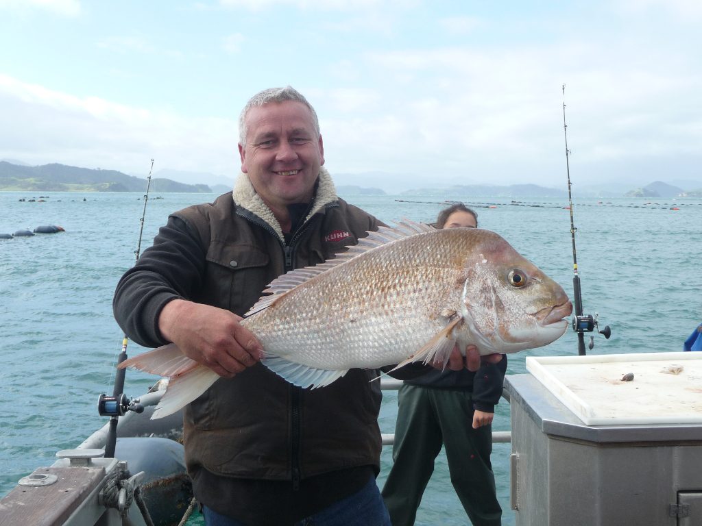 Coromandel Fishing Adventures The Ultimate in Mussel Farm Fishing