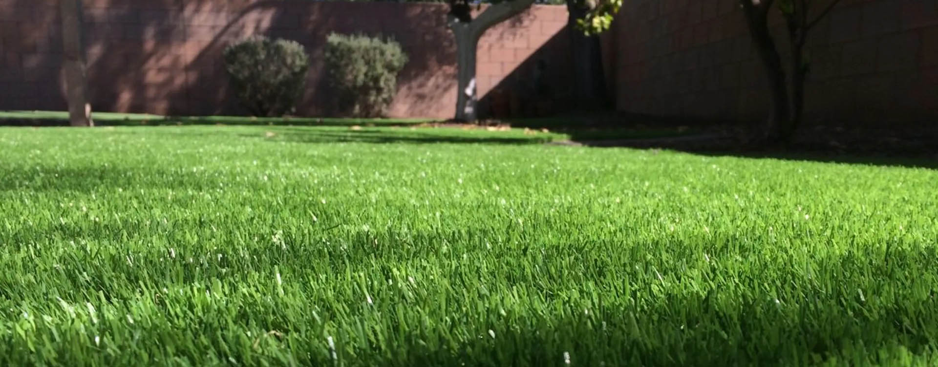 Corona Artificial Grass Home