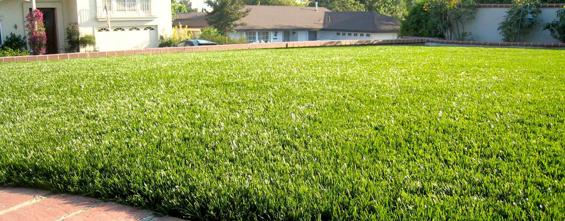 Corona Artificial Grass Home