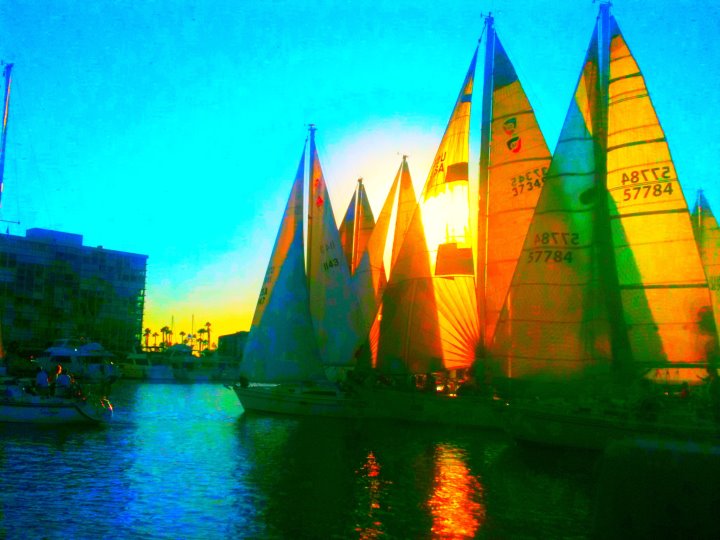 Beer can races getting competitive Coronado Times