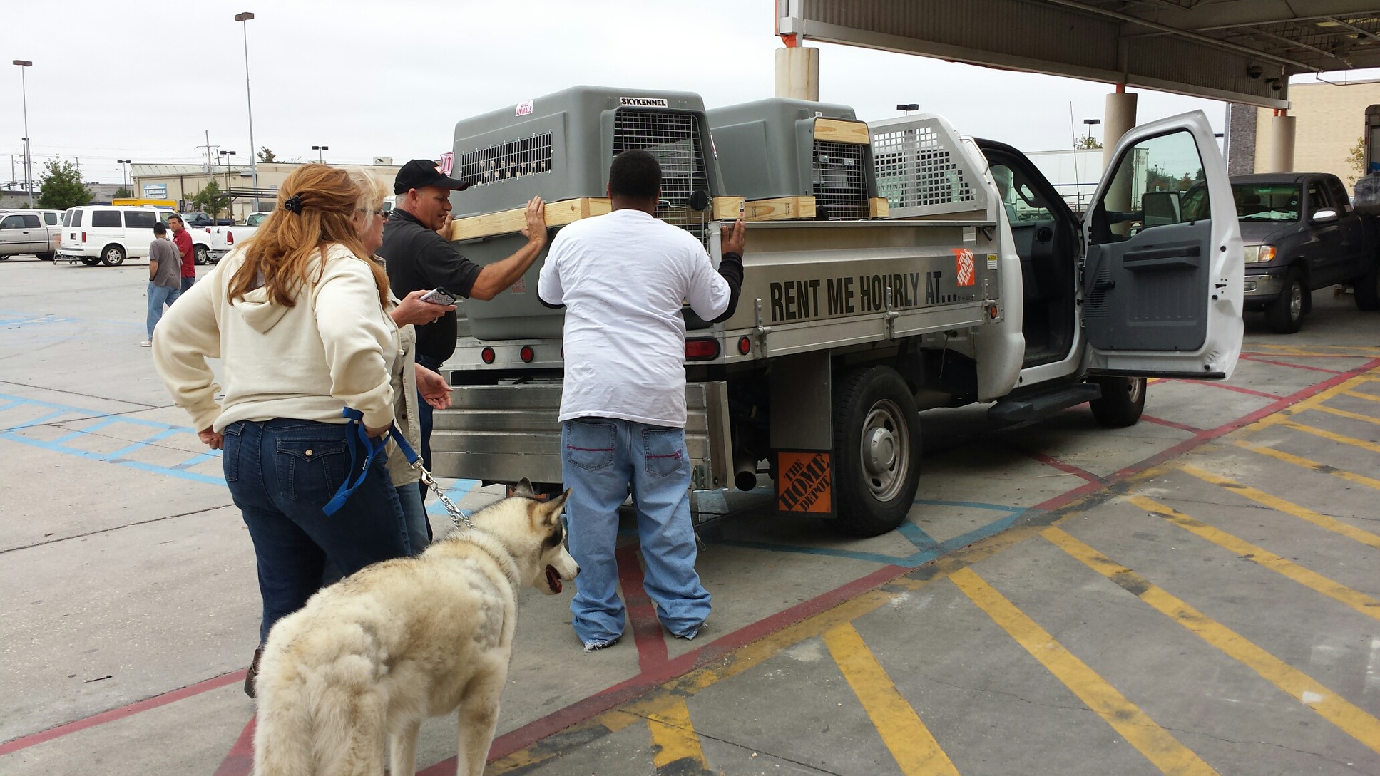 Newsroom_Image_Dog_Crate image.jpeg The Home Depot