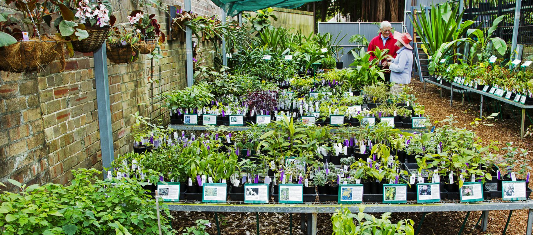 Business Ideas For Indians Under An Investment Of Rs 10,000