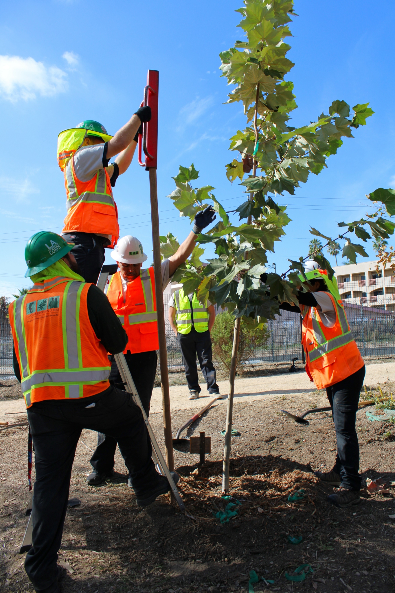 Corps + Trees Giving Back To Their Communities The Corps Network