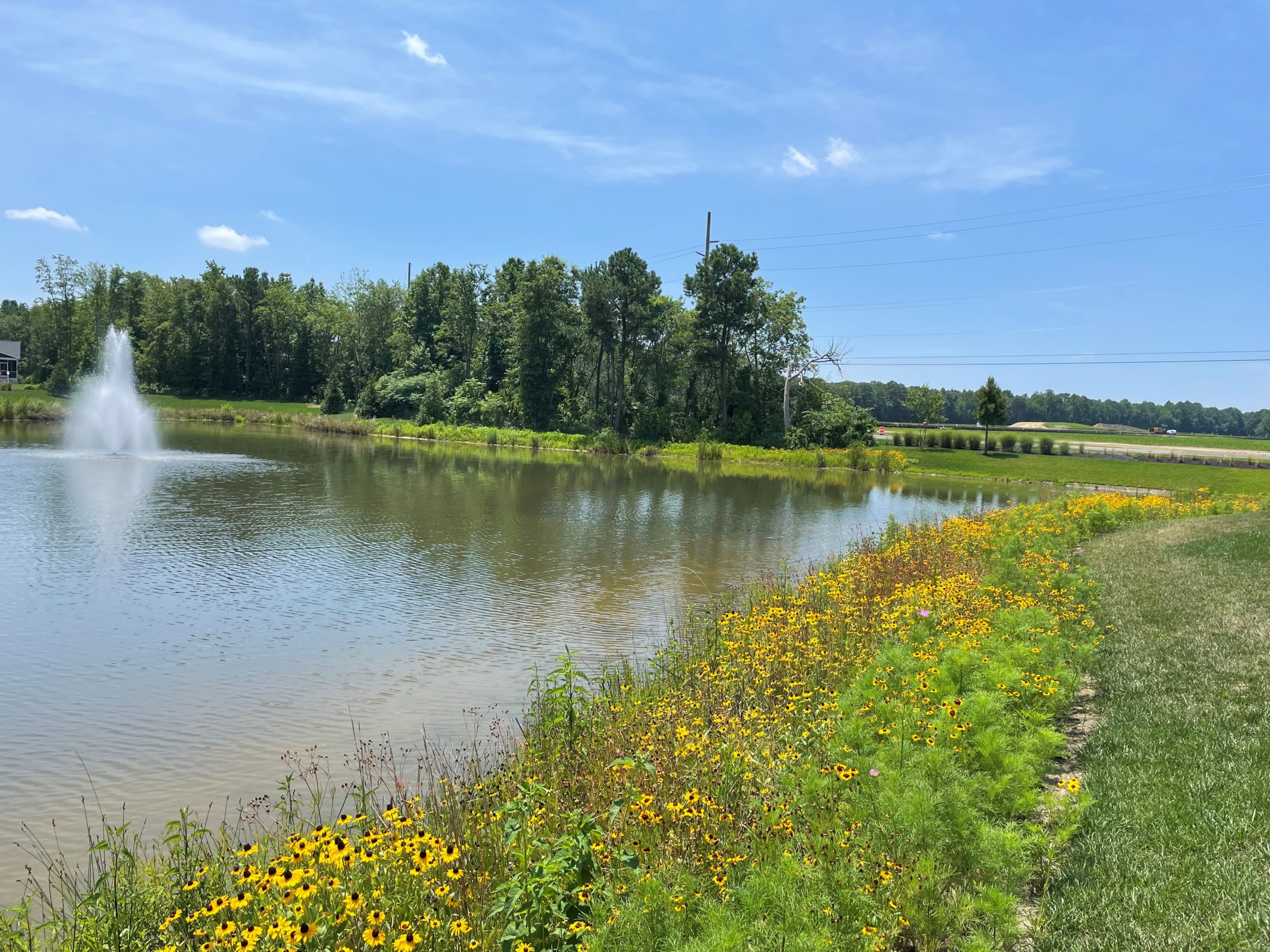 Tanager Woods Corrado Construction CompanyCorrado Construction Company