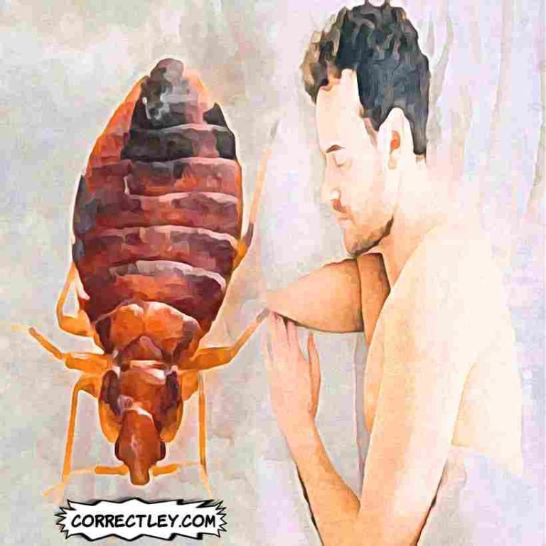 20 Funny Responses to "Don't Let the Bedbugs Bite"