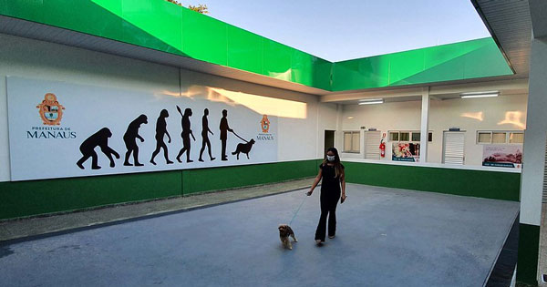 CCZ inicia novo ciclo de agendamento mensal de castraÃ§Ã£o de cÃ£es e