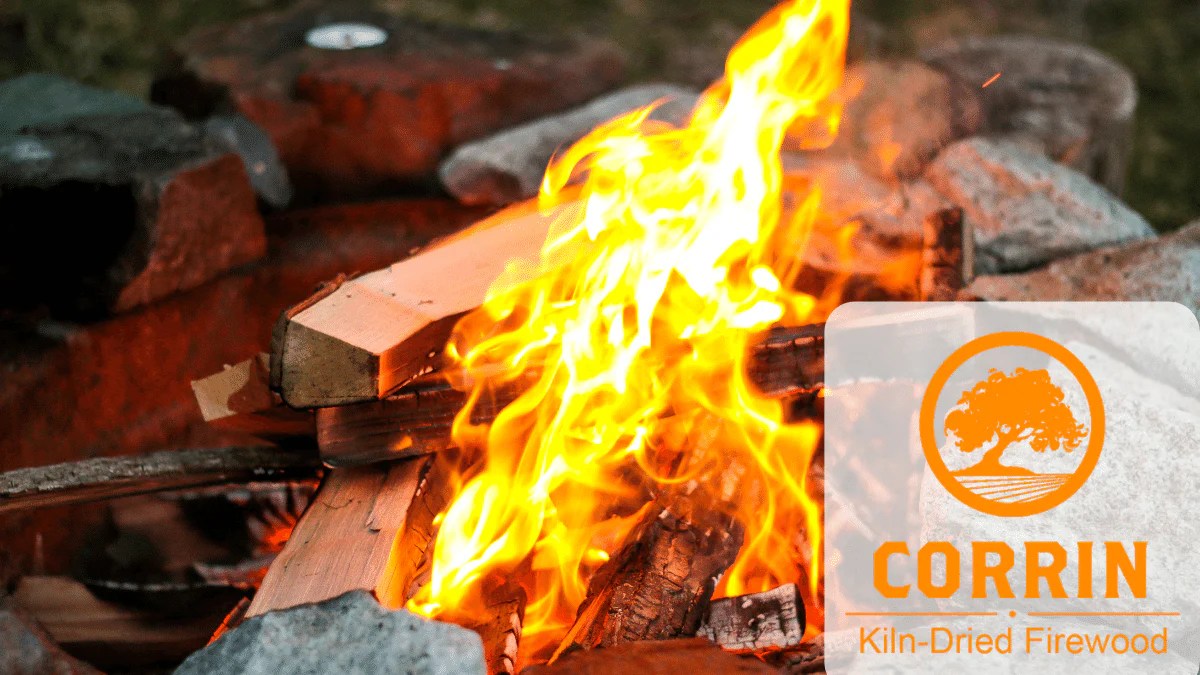 Is Hackberry Good Firewood? Corrin Kiln Dried