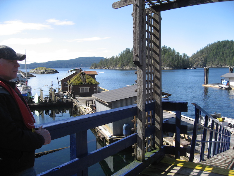 Beginnings of the Coop at Refuge Cove Cortes Currents