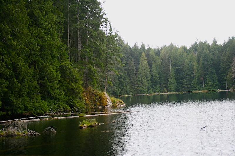 Confusion around the proposed Anvil Lake logging road Cortes Currents