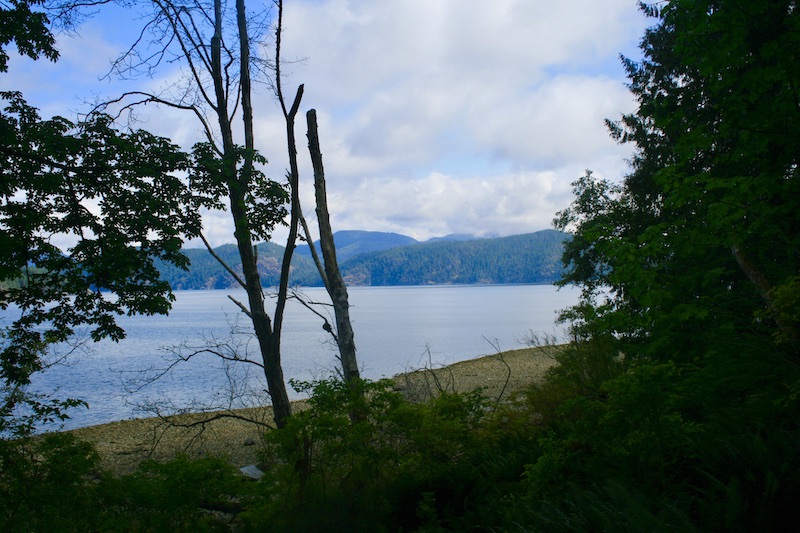 QXMC The Squirrel Cove Project Cortes Currents