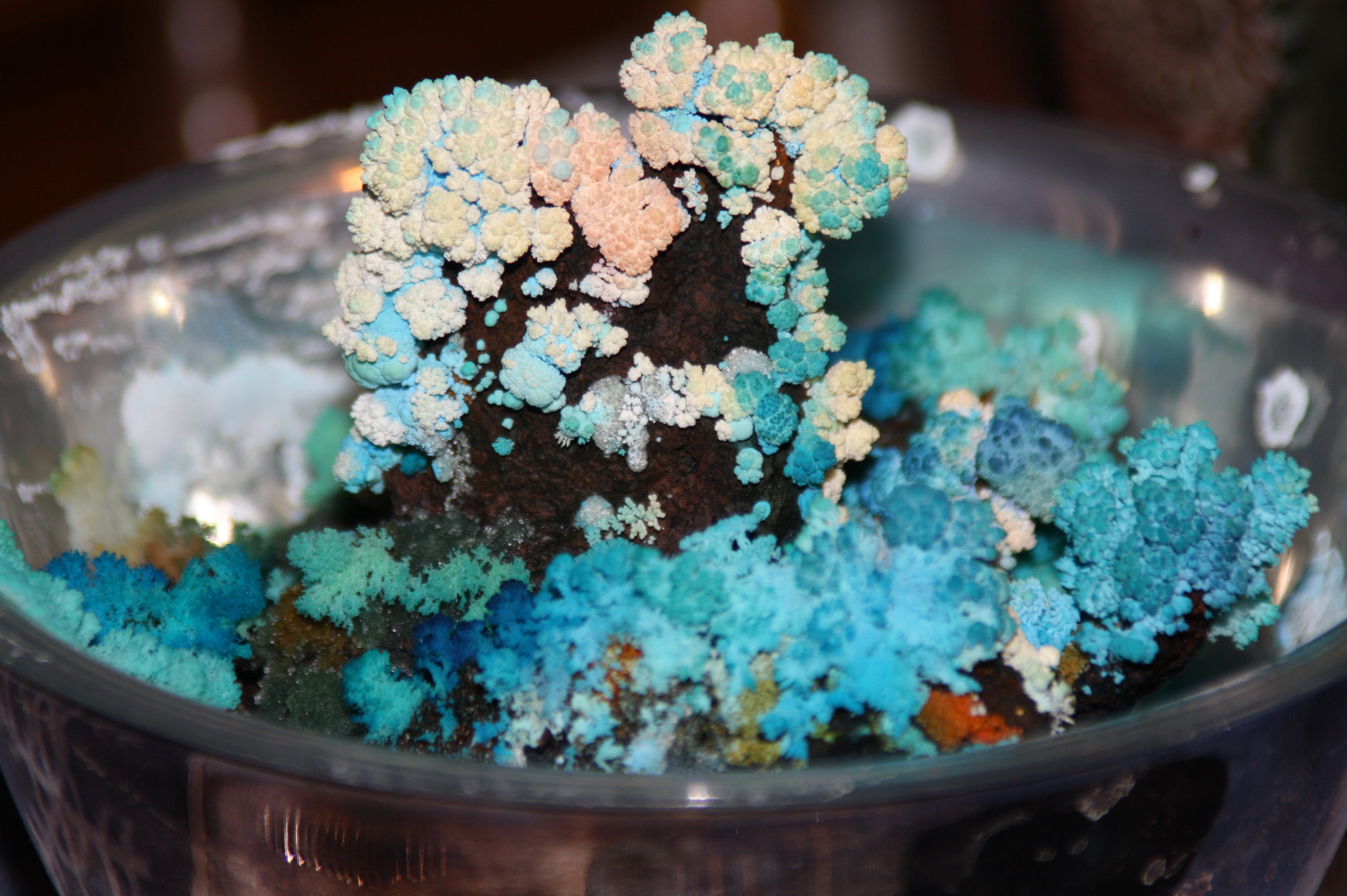 Coal Crystal Garden Recipe Fasci Garden