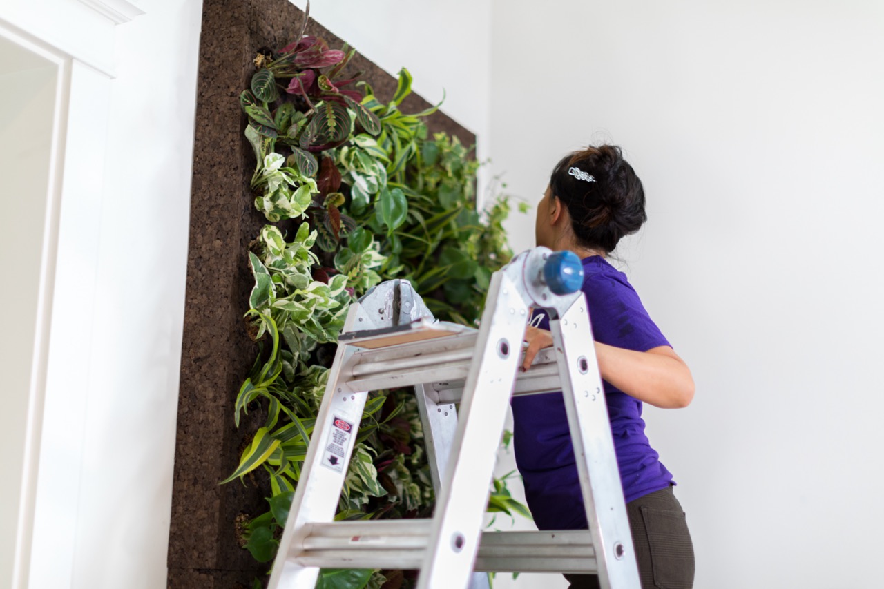 Getting into the living wall business. What you need to know. Living