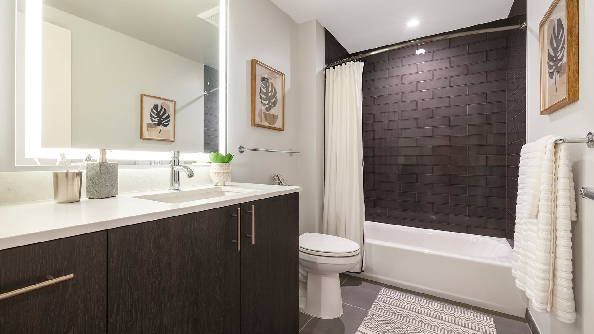 Luxury Apartment Photo Gallery Cortland Rosslyn