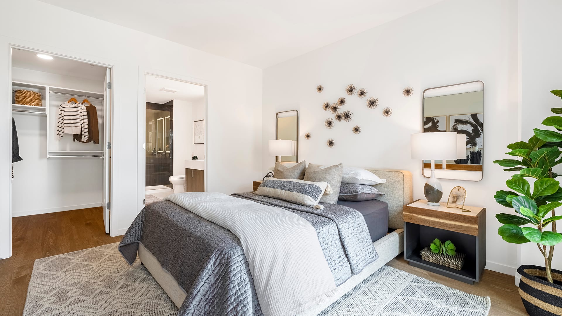 Luxury Apartment Photo Gallery Cortland Rosslyn