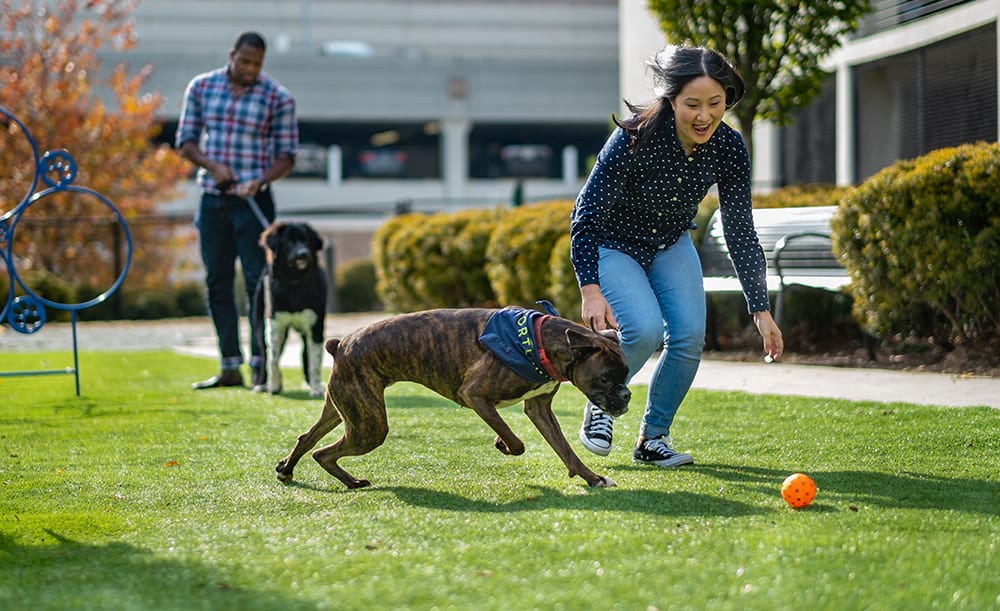 Riverview Apartments Cortland Riverview