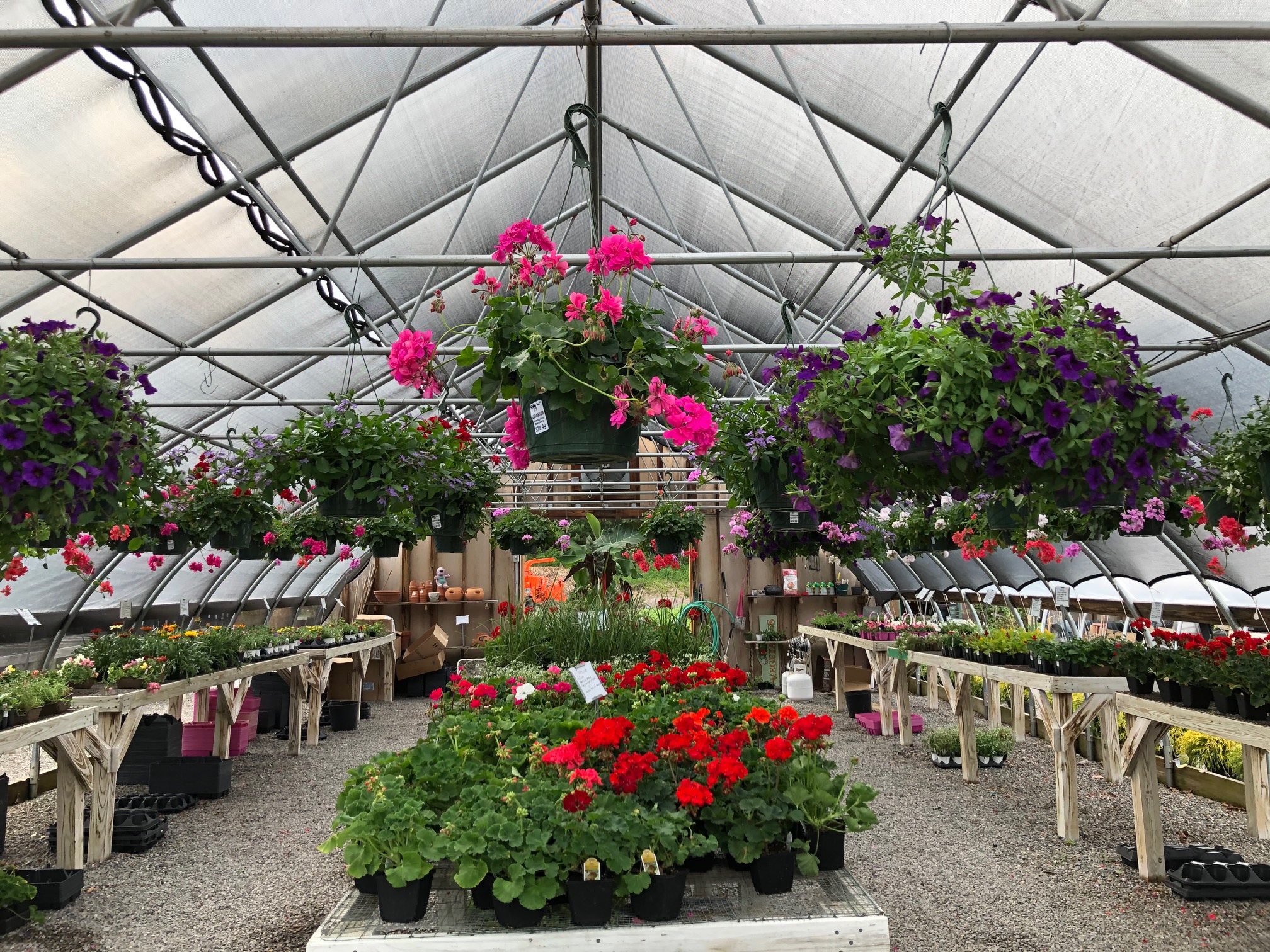 Valley View Gardens Retail Nursery The Cortland Area Tribune