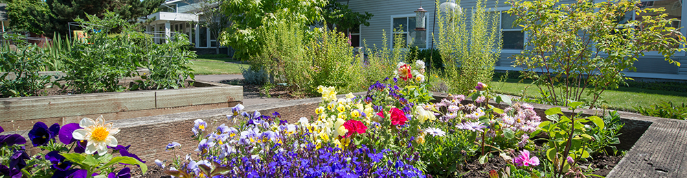 garden Corvallis Caring Place