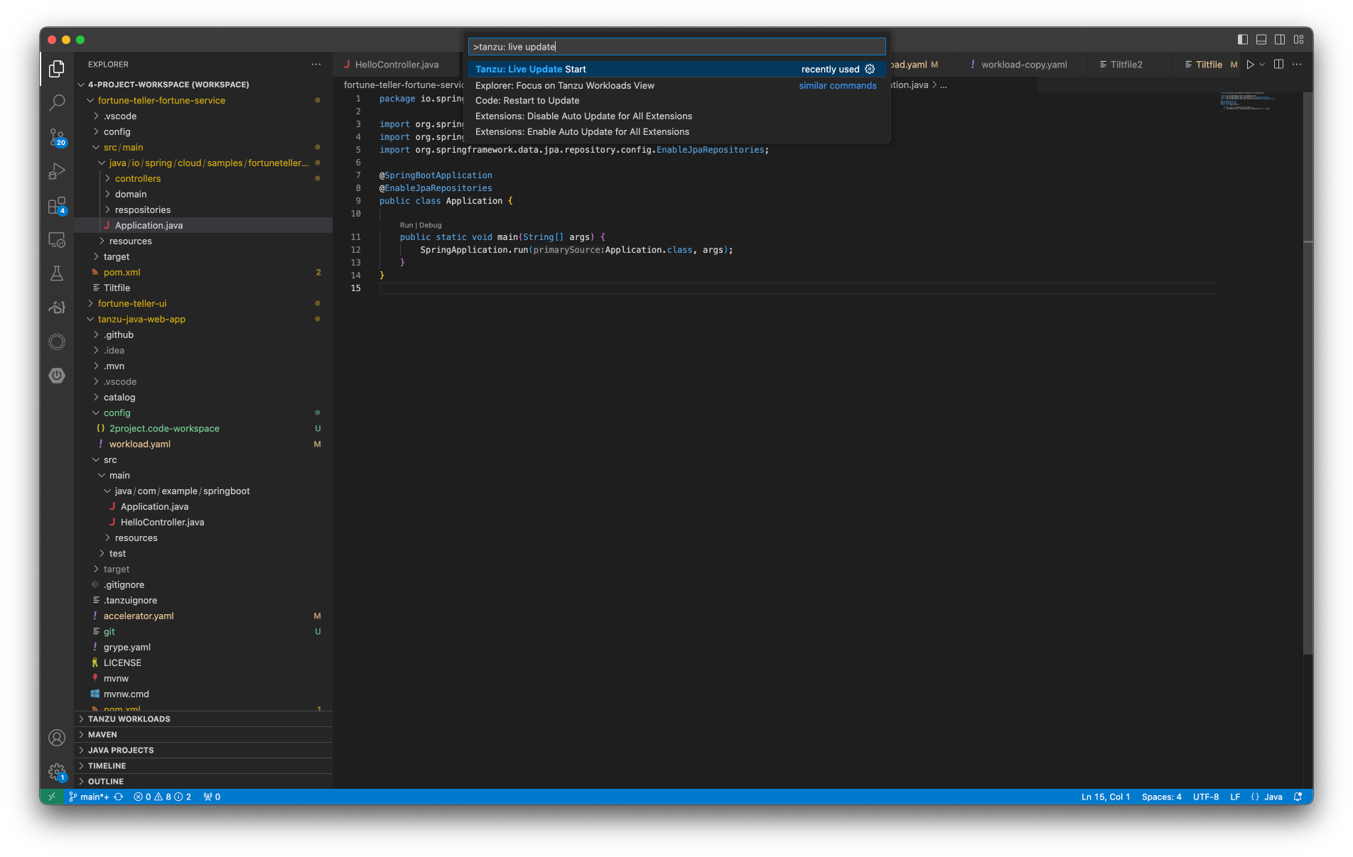 Tanzu Developer Tools Cory Thorpe