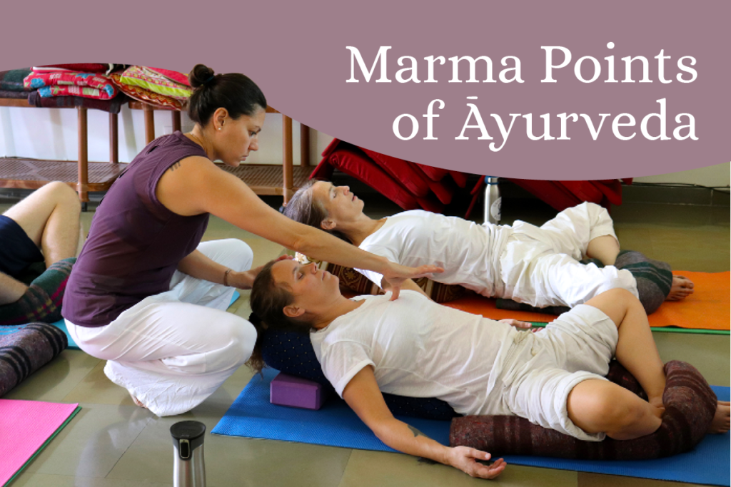 Marma Points of Ayurveda Cory Tixier