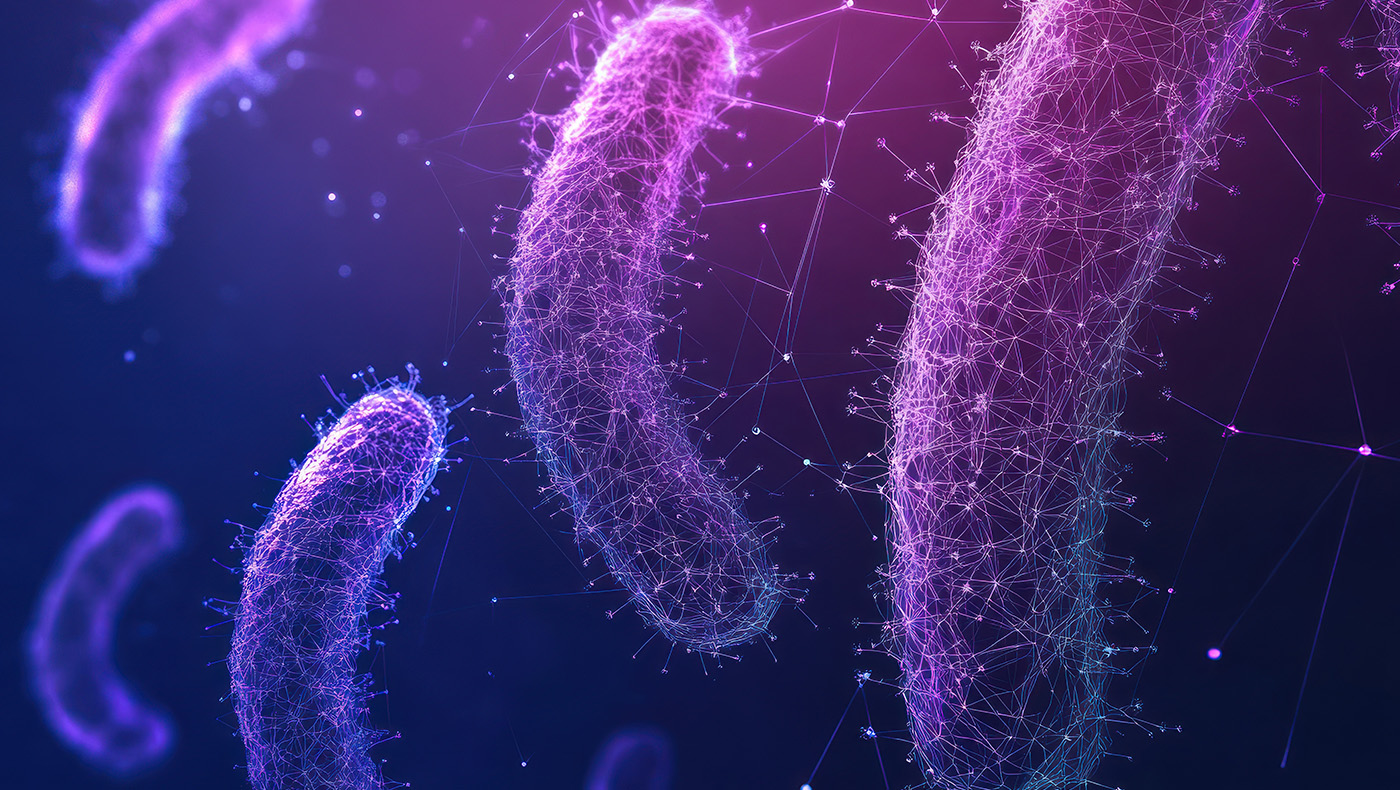 How do axolotls regenerate limbs and organs? This researcher has