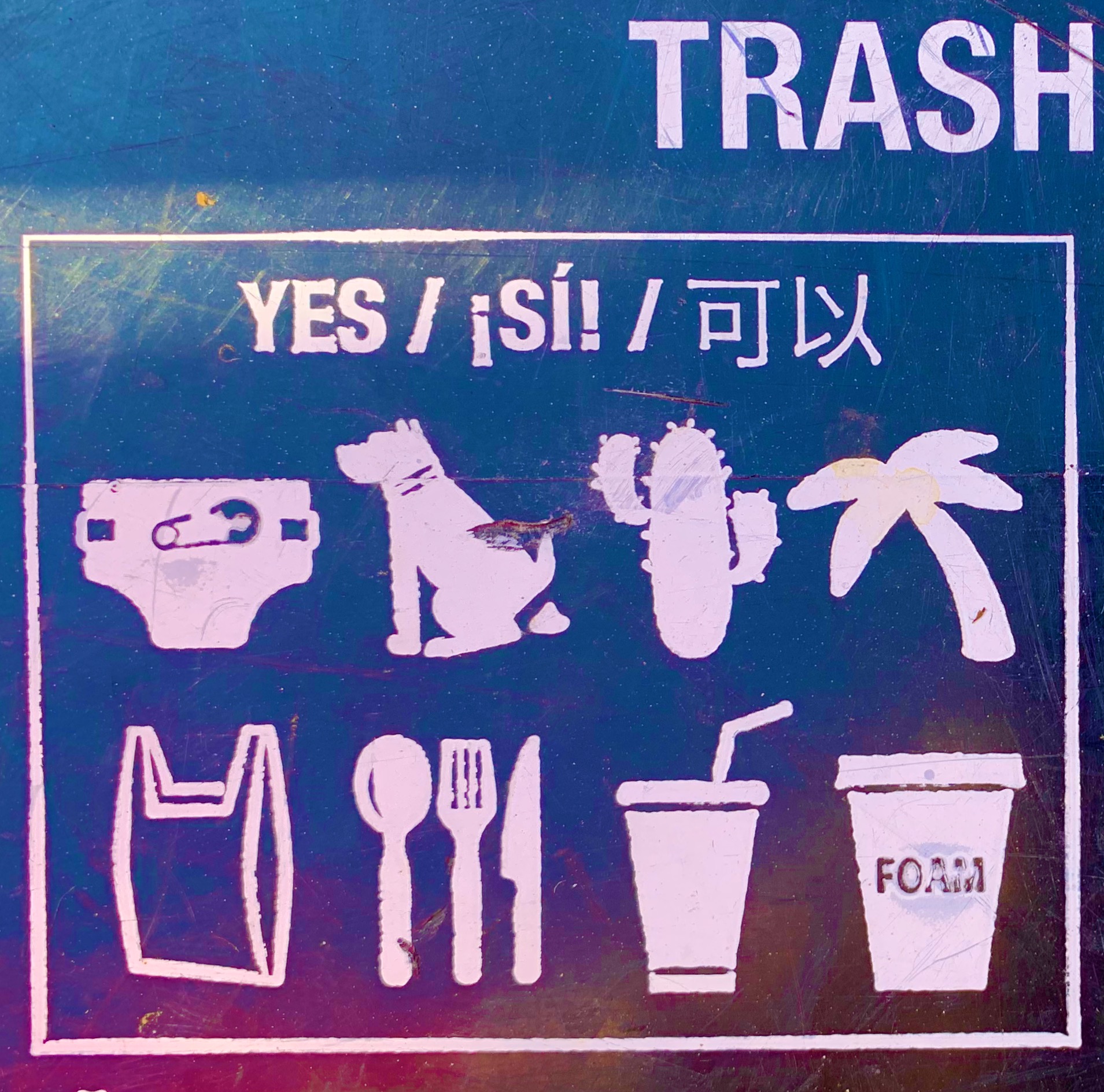 How to do your garbage right Tips from our Speaker Series “Trash Talk