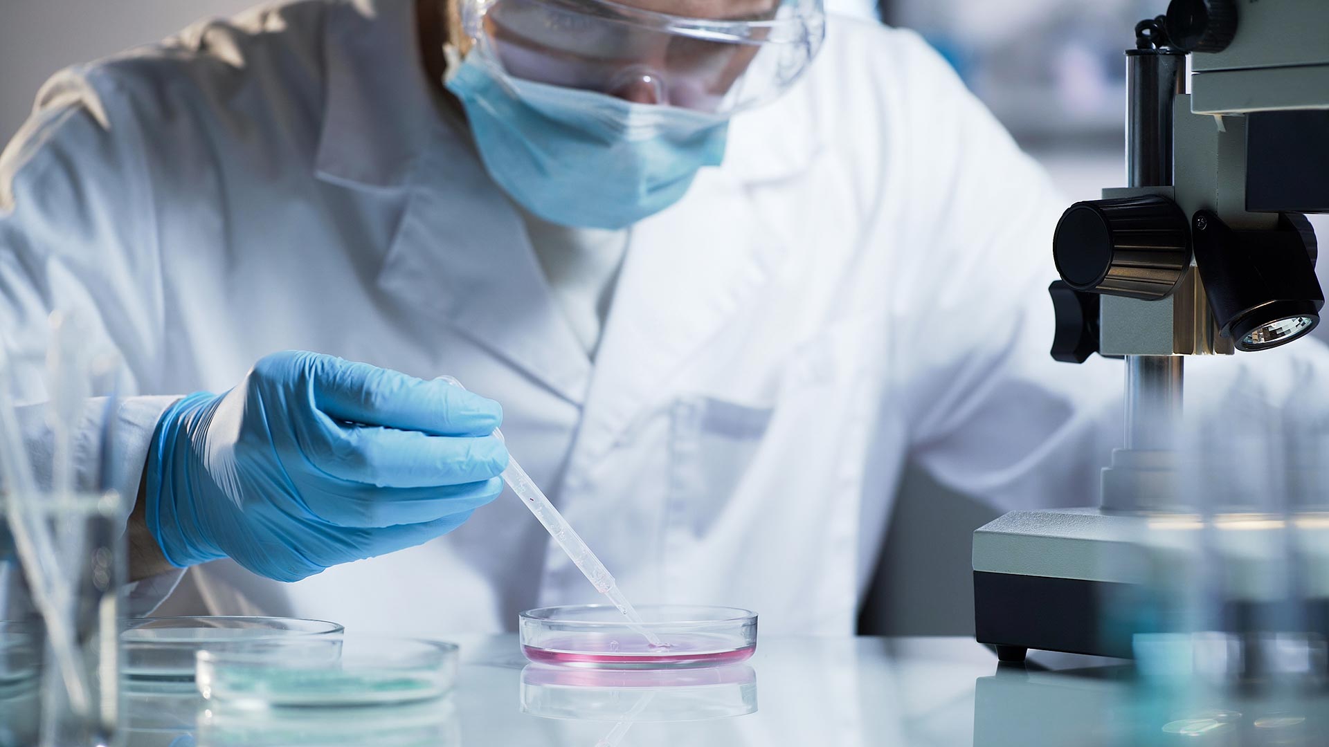 Microbiological Specifications Test Cosmetic Testing Lab