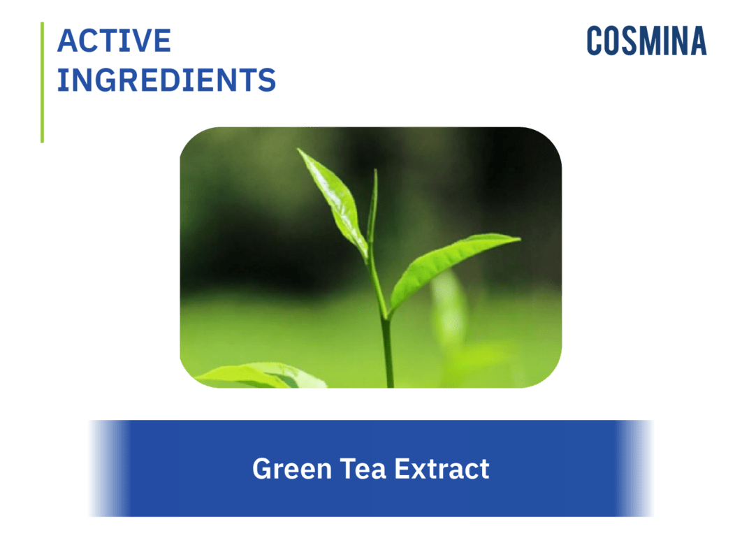 Green Tea Extract (สารสกัดชาเขียว)