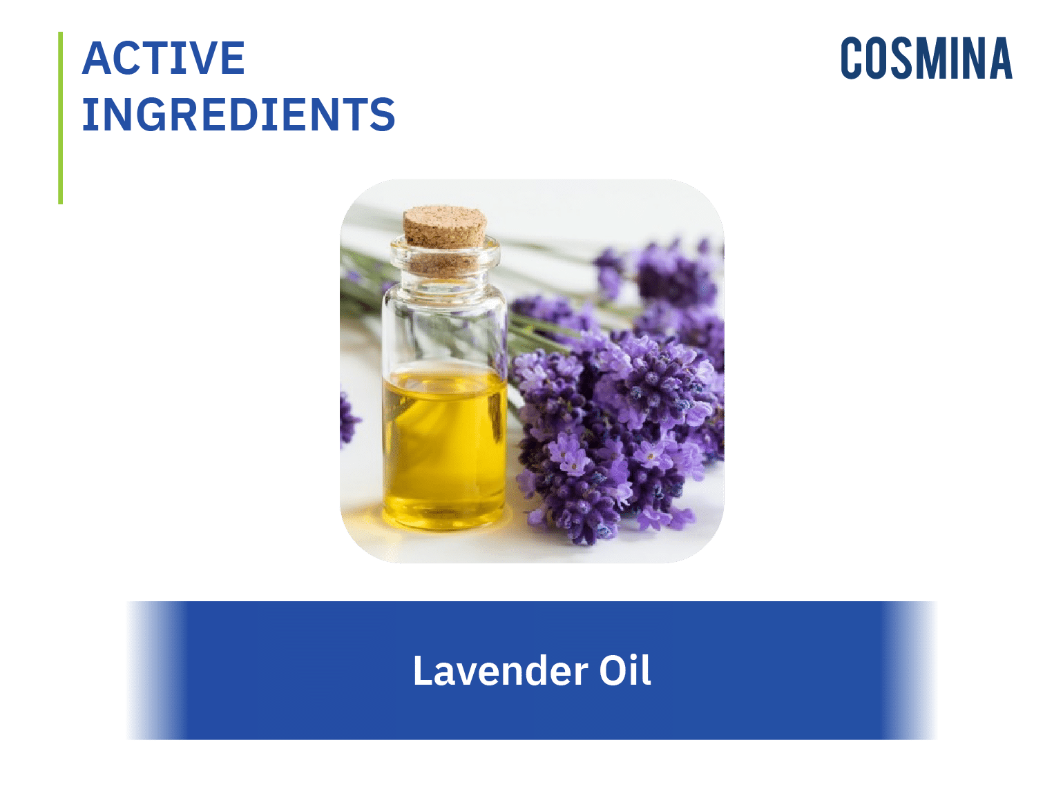 Lavender Oil (น้ำมันหอมระเหยลาเวนเดอร์) COSMINA