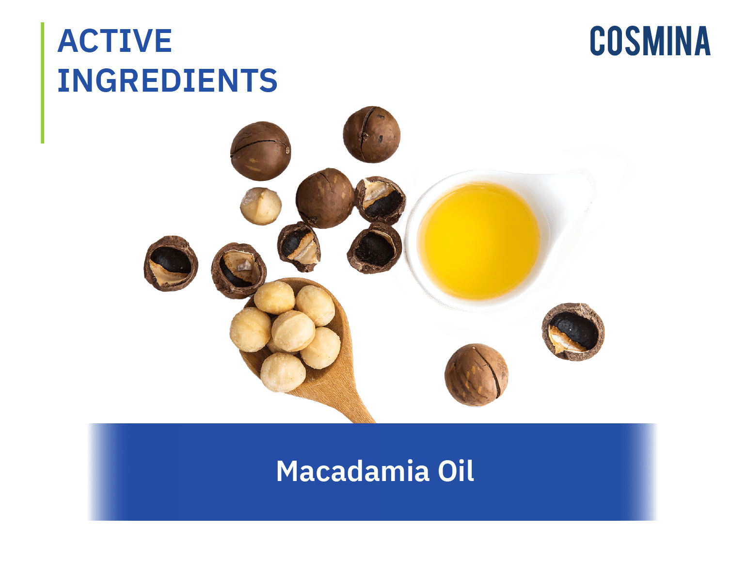 Macadamia Oil น้ำมันแมคคาเดเมีย COSMINA