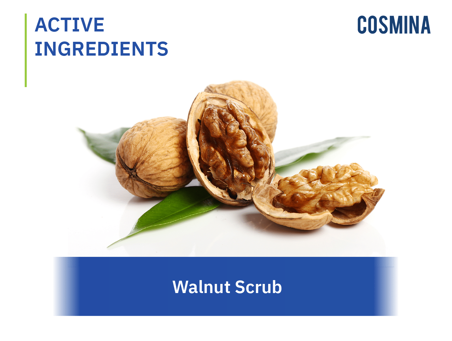 Walnut Scrub (สารสกัดวอลนัท) COSMINA