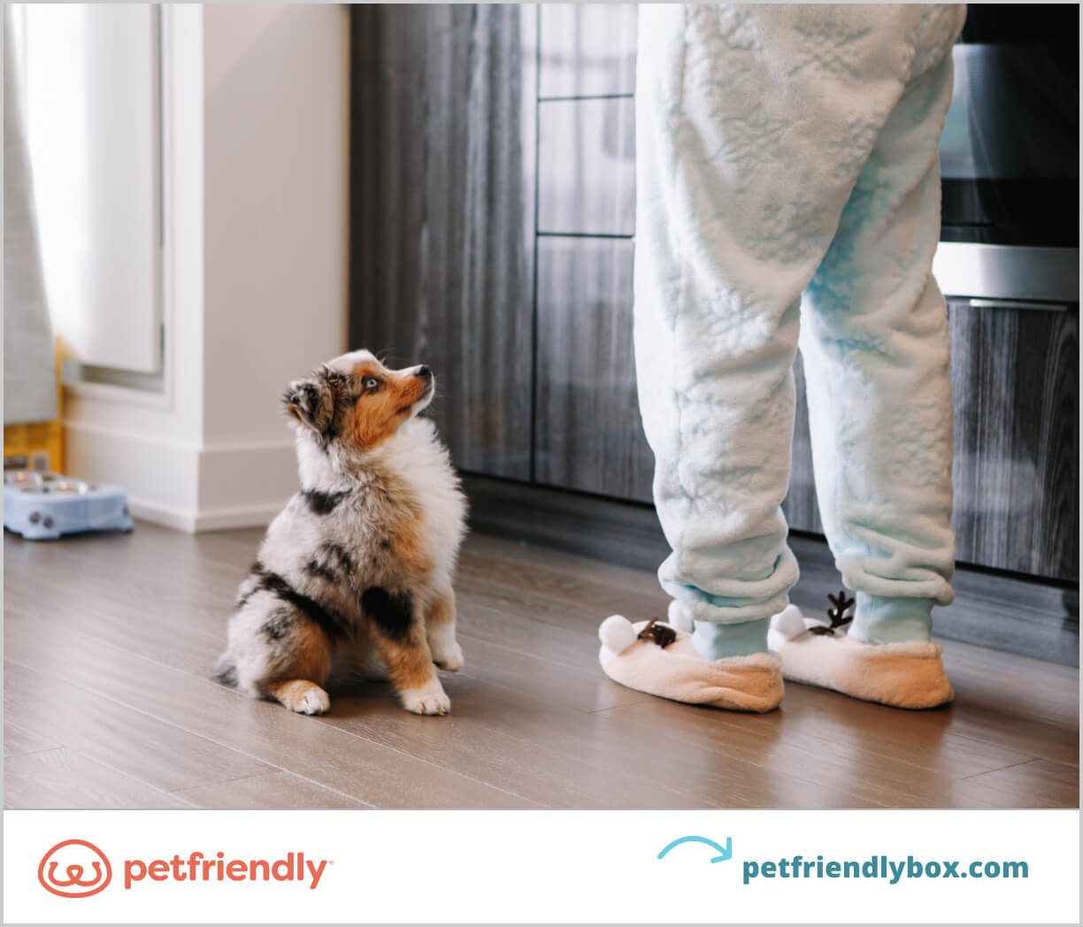 How Much Do Dog Trainers Make Per Year at James Becerra blog