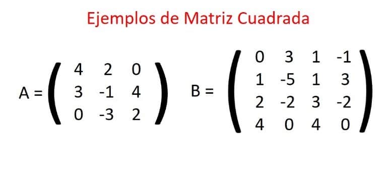 Cómo se Clasifican las Matrices Cosmo del Como