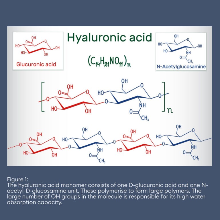 Hyaluronic acid A popular antiaging agent Cosphatec