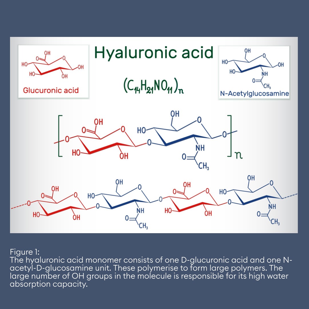 Hyaluronic acid A popular antiaging agent Cosphatec
