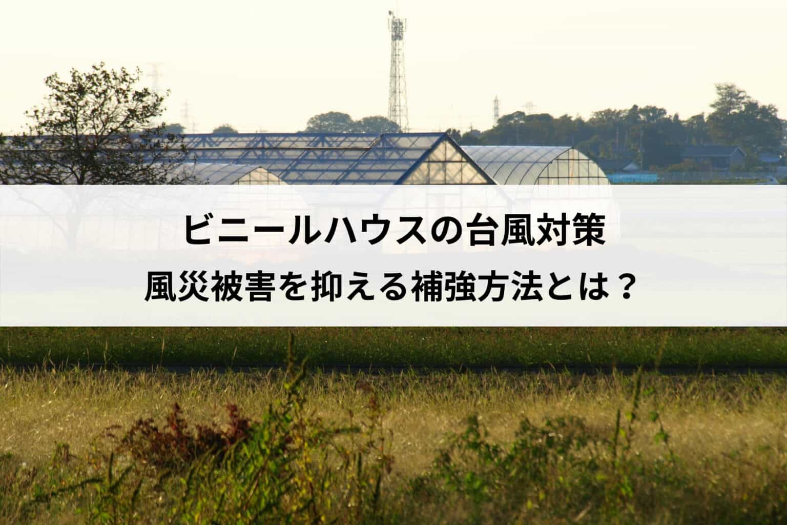 火災保険会社おすすめランキング｜不払いを防ぐための選び方も解説！