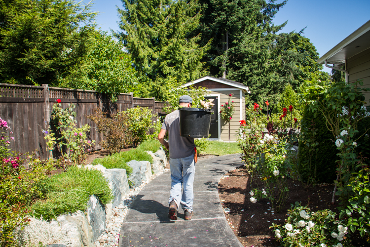 Garden Bed Maintenance in Victoria, BC Costa Verde