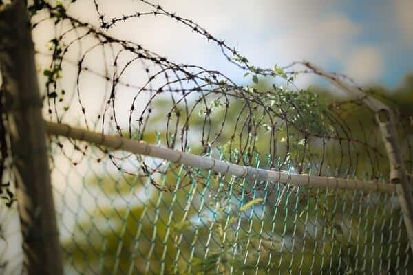 How Much Does Barb Wire Fence Cost In 2020?