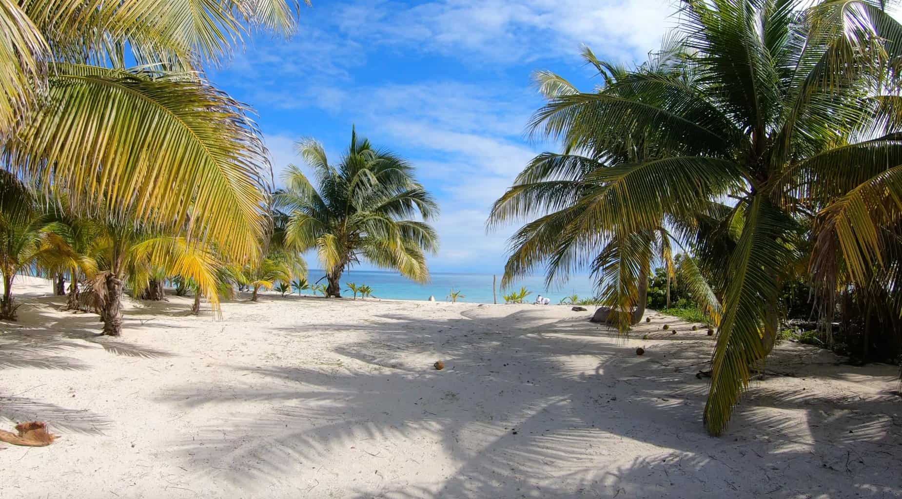 Cleared Beach Front Lot Costa Maya Realty