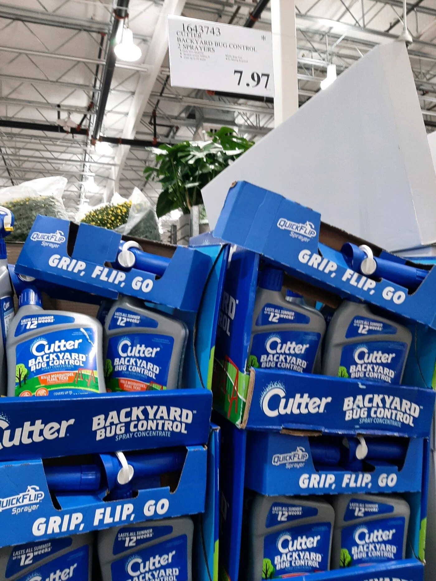 Cutter Backyard Bug Control with 2Sprayers